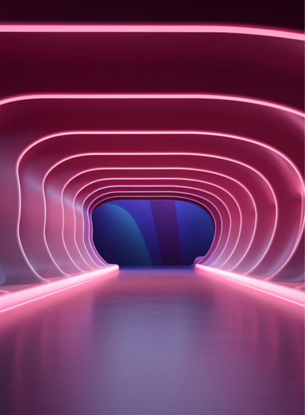 Web & 3D